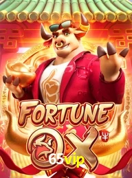 65VIP.COM